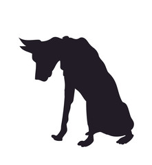 dog sitting, silhouette, vector