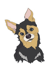 dog portrait profile, look down