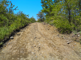 Fototapeta premium Long stony road. Countryside. Rural road. Bright landscape