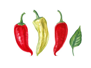 Pepper set. Watercolor hand painted illustration. Can be used as print, packaging design, textile, stickers, book or magazine illustration, menu design, element design, postcard and so on.