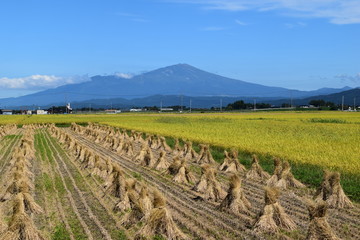 Fototapeta premium 鳥海山（出羽富士）／ 山形県の最高峰、標高2,236mの鳥海山（ちょうかいさん）です。日本百名山、日本百景、日本の地質百選に選定されている活火山で、山頂に雪が積もった姿が富士山にそっくりなため、出羽富士（でわふじ）と呼ばれ親しまれています。 