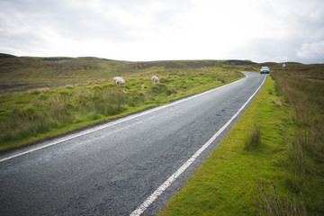 Lonely road in the countryside for a car trip and disconnect from stress
