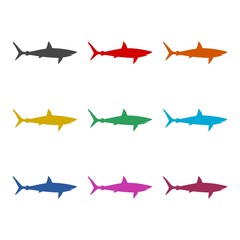 Shark sign, Shark line icon, color icons set