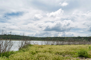 Fototapeta na wymiar Landscape of lake Baratz in a cloudy day