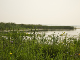 Fototapeta na wymiar Summer landscape: lake on a cloudy day