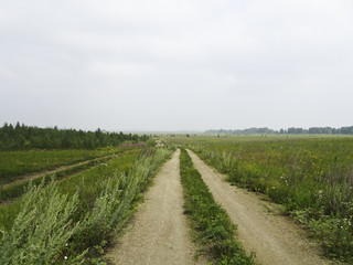 Fototapeta na wymiar Summer landscape: field road on a cloudy day