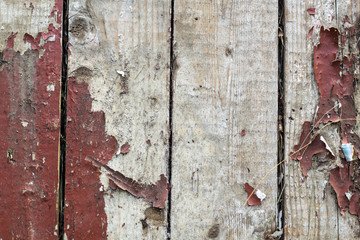 Old wooden background with remains of pieces of scraps of old paint on wood