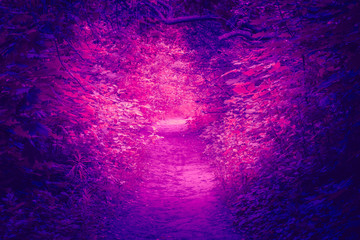 Trendy color ultra violet concept. Ultraviolet foliage abstract background.