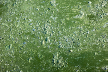 top view at dirty  greed river, ecological problems .