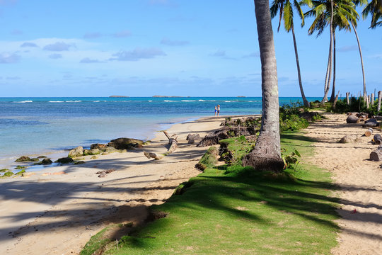 The view on the beautiful tropical beach in Las Terrenas, Dominikana Republic