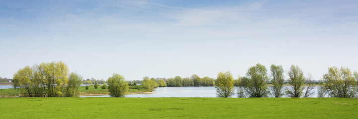 Beautiful view on a typical dutch landscape near the river Waal and Zaltbommel, water, green grass, meadows, floodplains  and trees on a sunny day in april, springtime