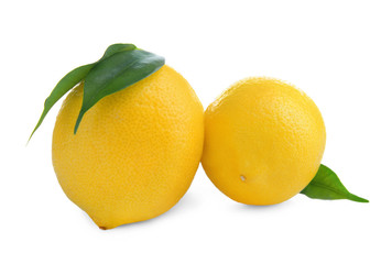 Ripe lemons on white background. Fresh citrus fruit