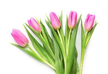 Beautiful tulips on white background