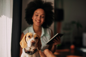 Mixed race woman petting her dog and using tablet while sitting on the floor.