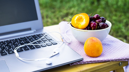 Work on a laptop on a picnic in nature - next to a bowl of cherries and apricots. Freelancer work concept