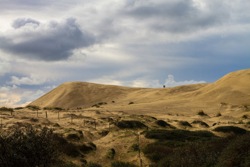 Dunes in Denmark