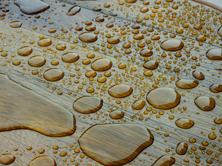 Wooden planks bathed in the rain