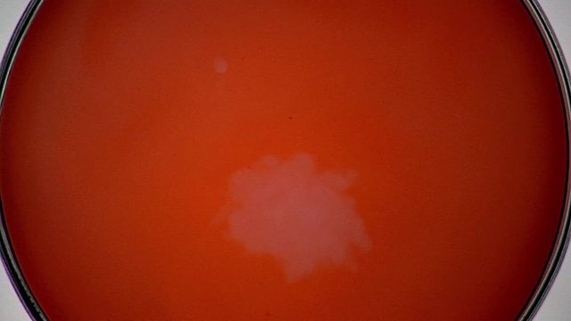 The Belousov&ndash;Zhabotinsky reaction, also known as the BZ reaction, forms concentric patterns in a chemical solution.