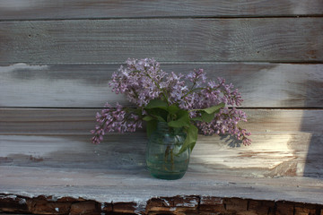 lilac in a vase