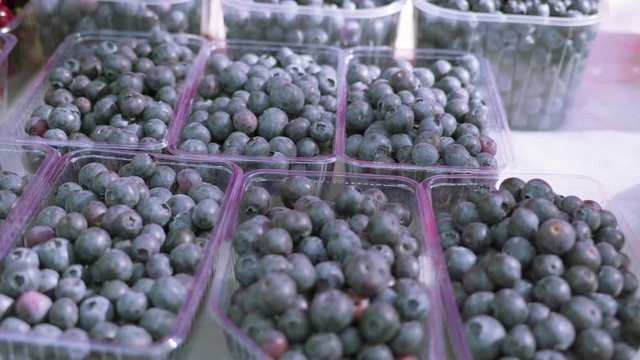18177_Lots_of_bluberries_freshly_picked_from_the_farm.mp4