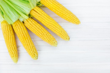 A close-up of corn produced in a rustic garden