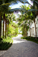 Fototapeta premium Pathway