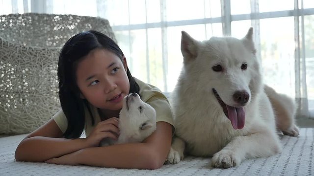 Beautiful asian girl lying with siberian husky puppy slow motion 