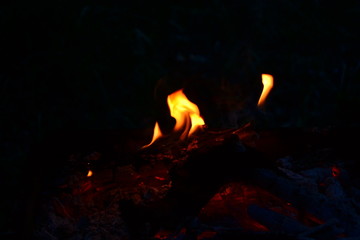 Flame, fire, burning, bonfire