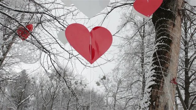 valentine's day is a heart on a tree,winter garden hangs red hearts on the day of holy valentine
