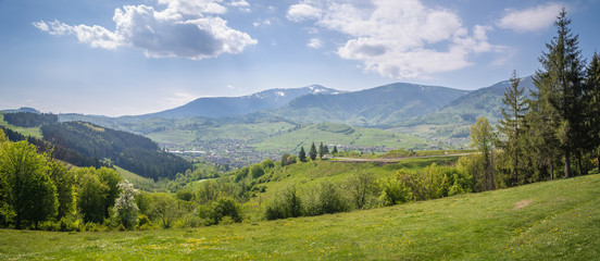 Spring in the Carpathian Mountains