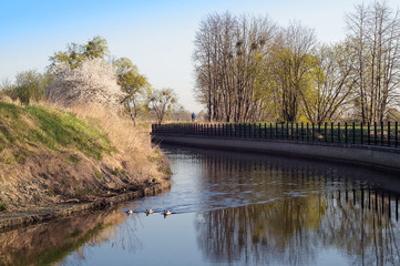 Poranek nad rzeką. © Robert