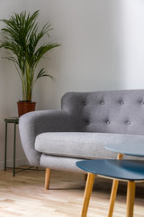 Gray couch and coffee table