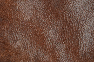Natural leather background