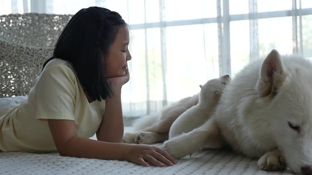 Beautiful asian girl lying with siberian husky puppy slow motion 