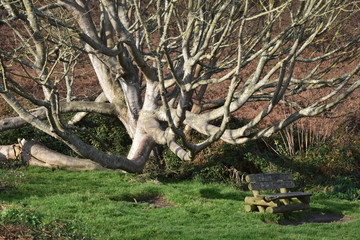 Côtes de granit rose