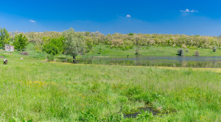 Panoramic May landscape with Suha Sura river in Vasylivka village near Dnepr city, central Ukraine