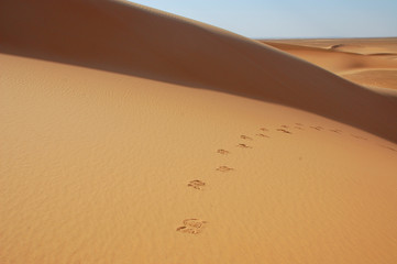 Sandd&uuml;ne mit Fu&szlig;spuren
