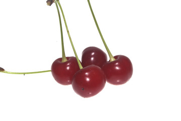 cherry isolated on white background