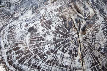Wooden texture can be used as background