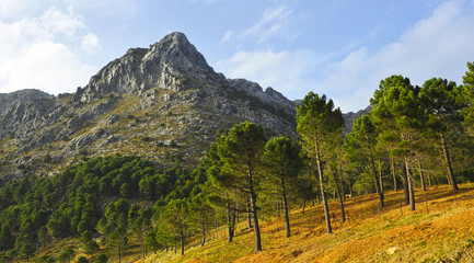 Landscape in Sierra de Grazalema Natural Park, Biosphere reserve, province of Cadiz, Andalusia, Spain