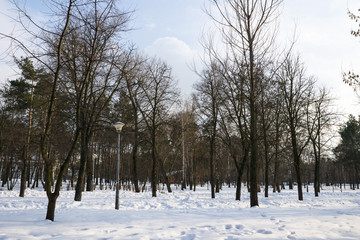 park in winter
