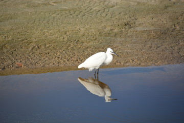 Sharon Beach - Herzliya
