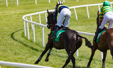 Two race horses and jockeys racing around a turn of the race track