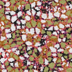 Fototapeta na wymiar Texture kaleidoscop with flowers colors