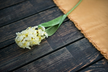 Yellow hyacinth on a wooden background.
