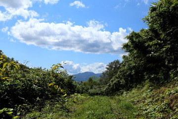 trail