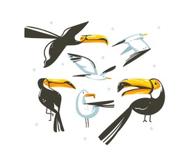 Hand drawn vector abstract cartoon summer time graphic decoration illustrations collection set art with exotic tropical rainforest toucan birds and sea gulls isolated on white background © anastasy_helter
