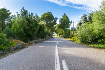 Mallorca, Endless bolt upright street through green landscape with blue sky