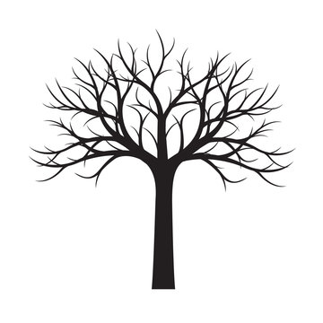 Tree sketch no leaves root on blackboard. | CanStock