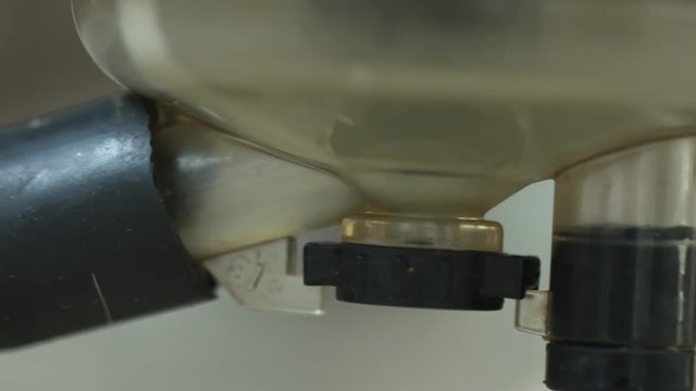 Slowly milking proccess into steal and plastic modern milking machine. Macro close up